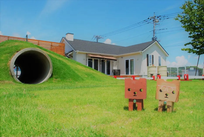 FOOT POINT with dog care