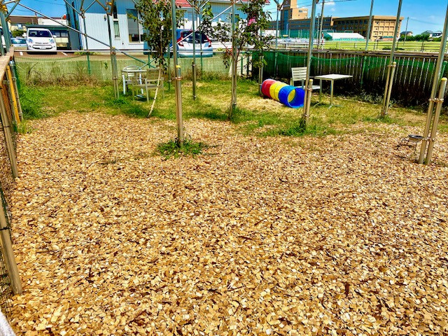 ワンワンぷれじゃーぱーくわんダ〜らん