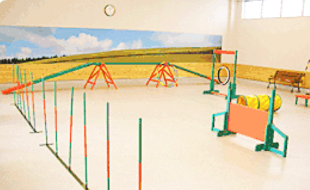 ペットショップマーチ 黒部店