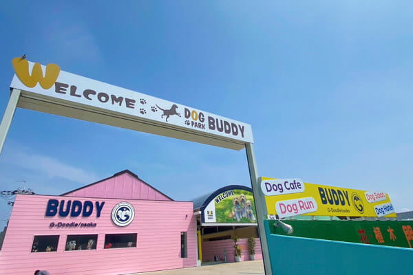 BUDDY G-Doodle/osaka