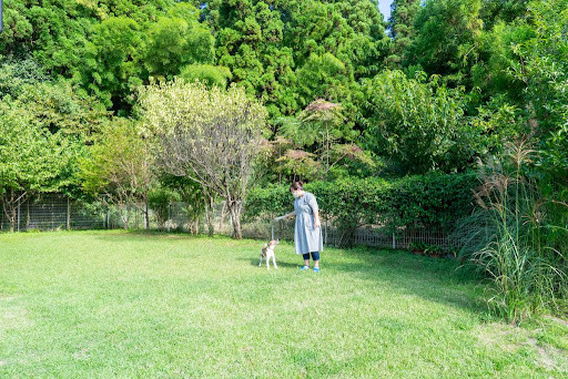 ドッグラン&ドッグカフェjolijoli