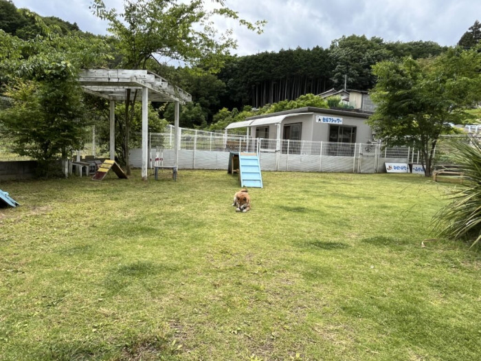 ドッグラン・ドッグカフェわんずビレッジ