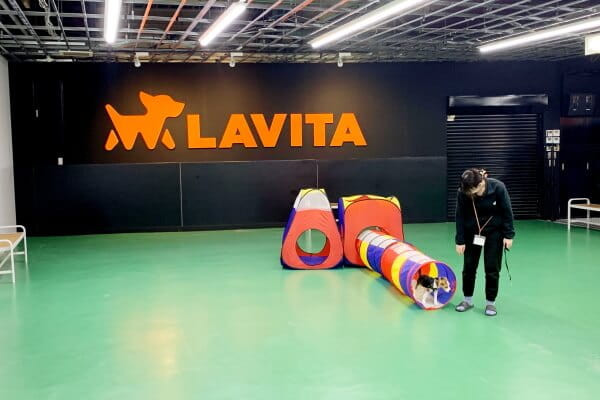 ペットショップ ラビータ 東古松店