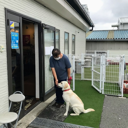 SOPRA GINZA 川島インター店