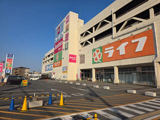 WIZ-DOG CLUBコーナン寝屋川昭栄店