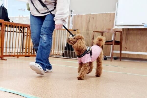 WIZ-DOG CLUBコーナン川西久代店