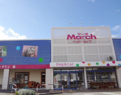 ペットショップマーチ　黒部店