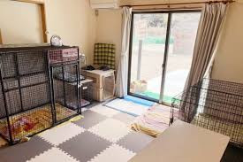 ドッグトレーニング FUGUE