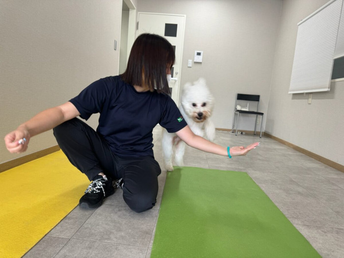 ドッグケアハウス モトマチ