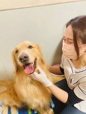 犬の歯磨きサロン Dog★First