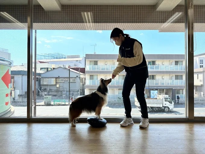 あんどDOG 横浜本店