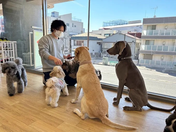 あんどDOG 横浜本店