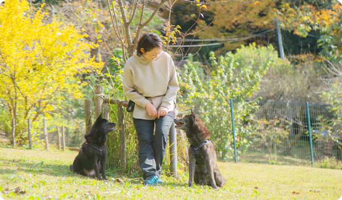 ドッグスクールわん！ステップ