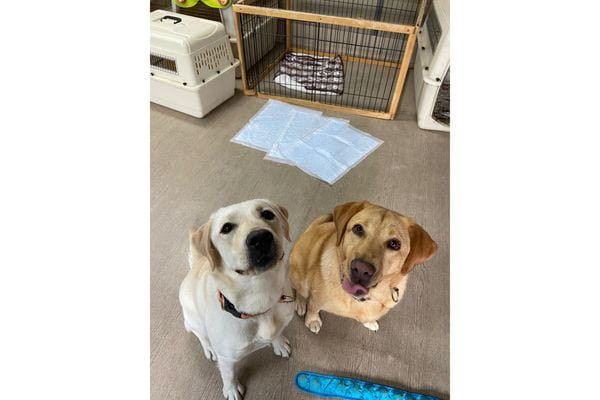 わんちゃんのしつけとアロマ HappyHeart