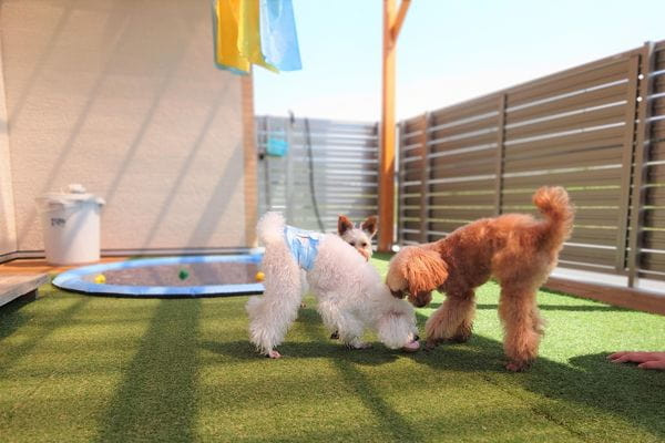 Grand Pets ローリック