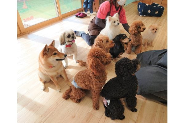 Grand Pets ローリック