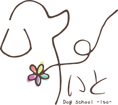 ドッグスクールいと
