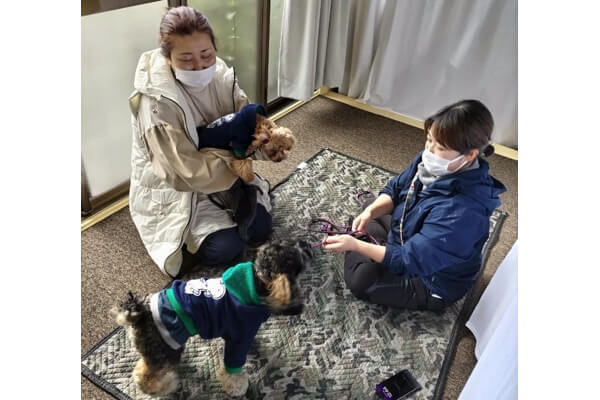 Dog station hakobune