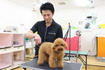 あんどDOG 横浜本店