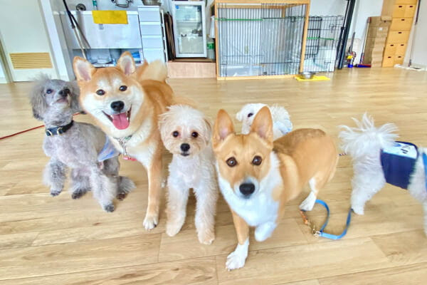 あんどDOG 横浜本店