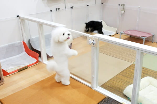 ドッグケアハウス　モプティシェリ