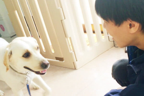 ドッグスクールシェリー 内山校