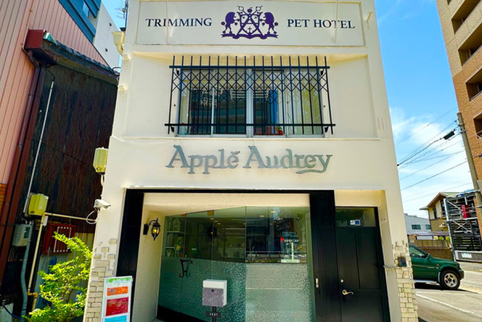 Apple Audrey 幼稚園