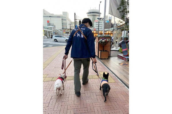 【出張専門】Dog Lover Aichi