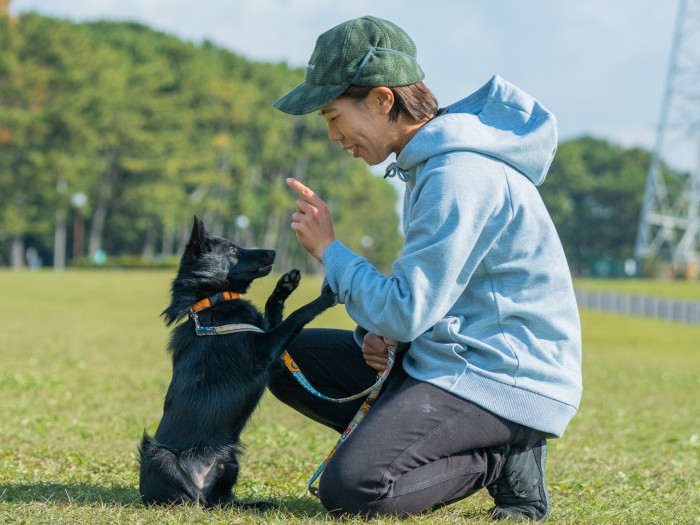 きたなごやドッグスクール