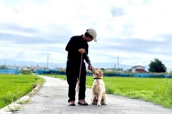 きたなごやドッグスクール