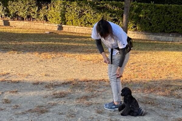 ドッグケアハウス モプティシェリ