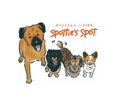 Spottie's Spot