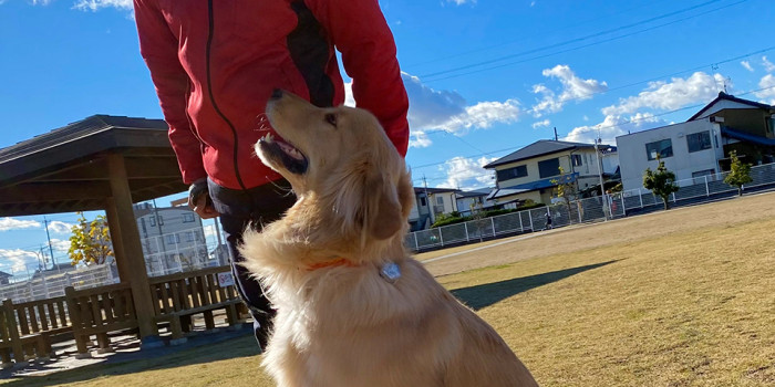 Dog Libre【出張専門】