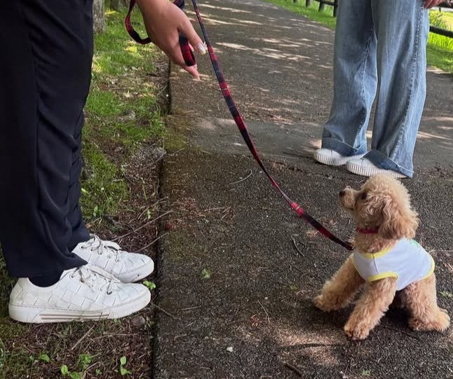 軽井沢犬のほいくえんVita 佐久浅間校