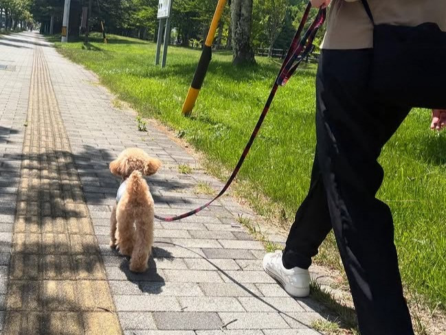 軽井沢犬のほいくえんVita 佐久浅間校