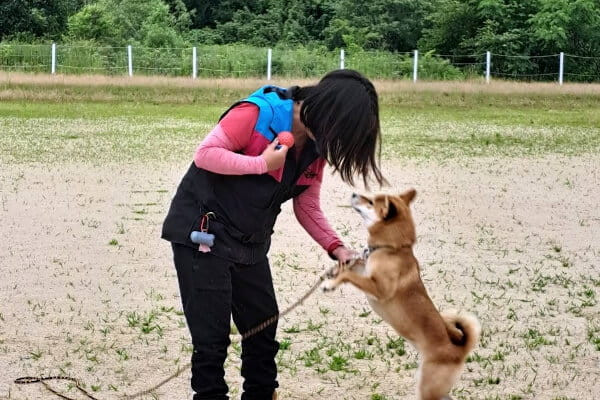 Grandir〜犬との絆〜