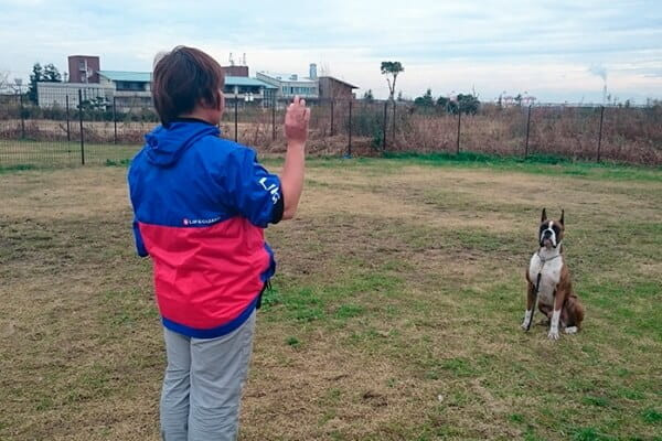 ひのか愛犬警察犬訓練所