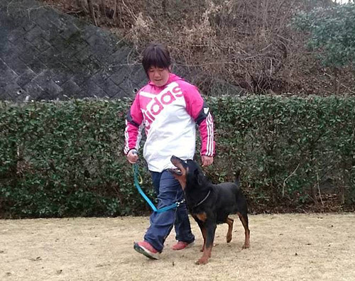 ひのか愛犬警察犬訓練所