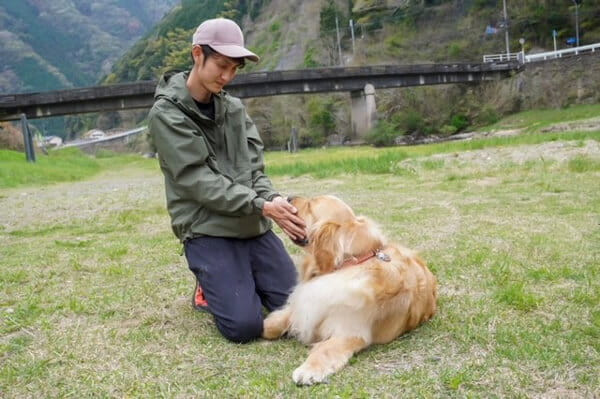 ドッグスクールIDEAL