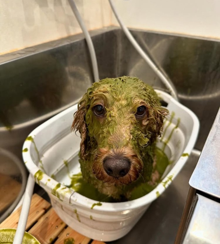 軽井沢犬のほいくえんVita 佐久浅間校