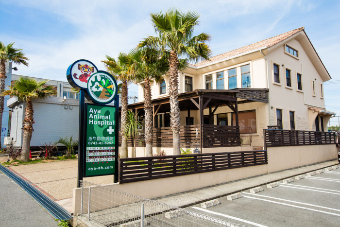 あや動物病院