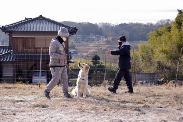 飼い主さんのためのしつけ教室