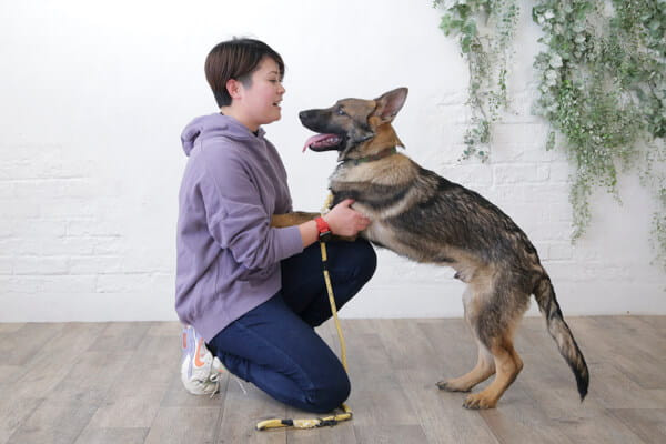 飼い主さんのためのしつけ教室