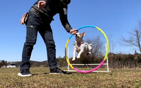 福路トレーナー教室