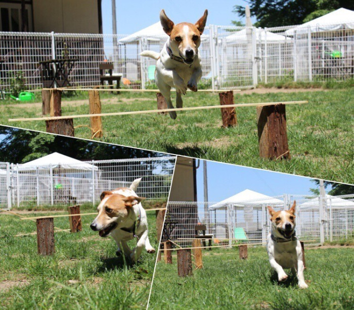 福路トレーナー教室