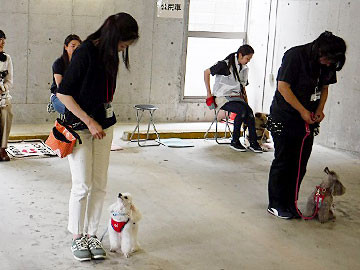 ドッグサロン プチシャン