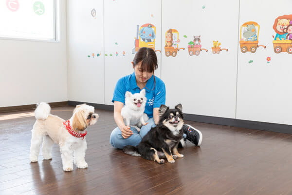 わんtogetherようちえん