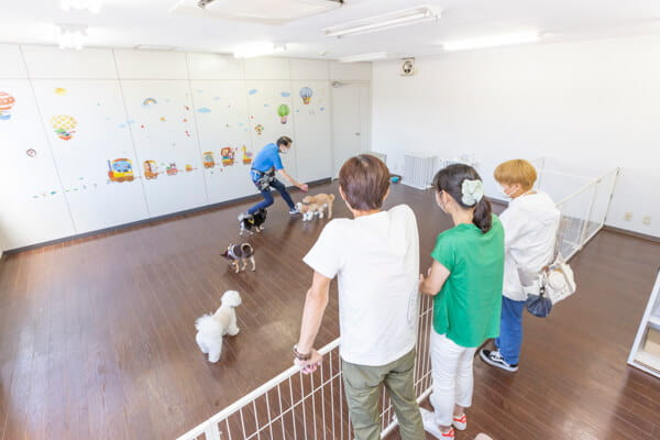 わんtogetherようちえん