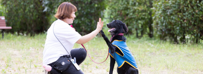 ドッグスクール OHANA