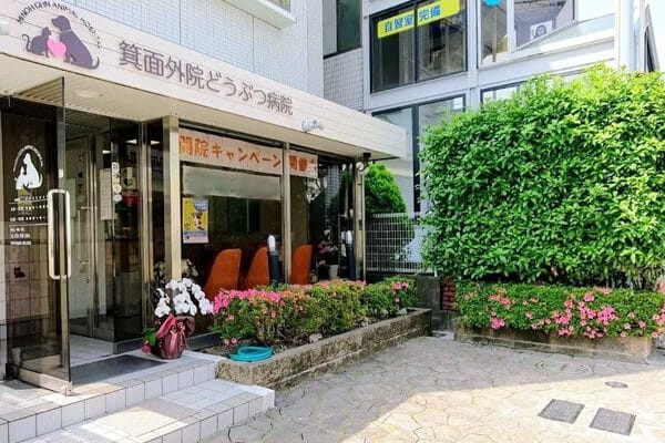 箕面外院どうぶつ病院【しつけ方教室】